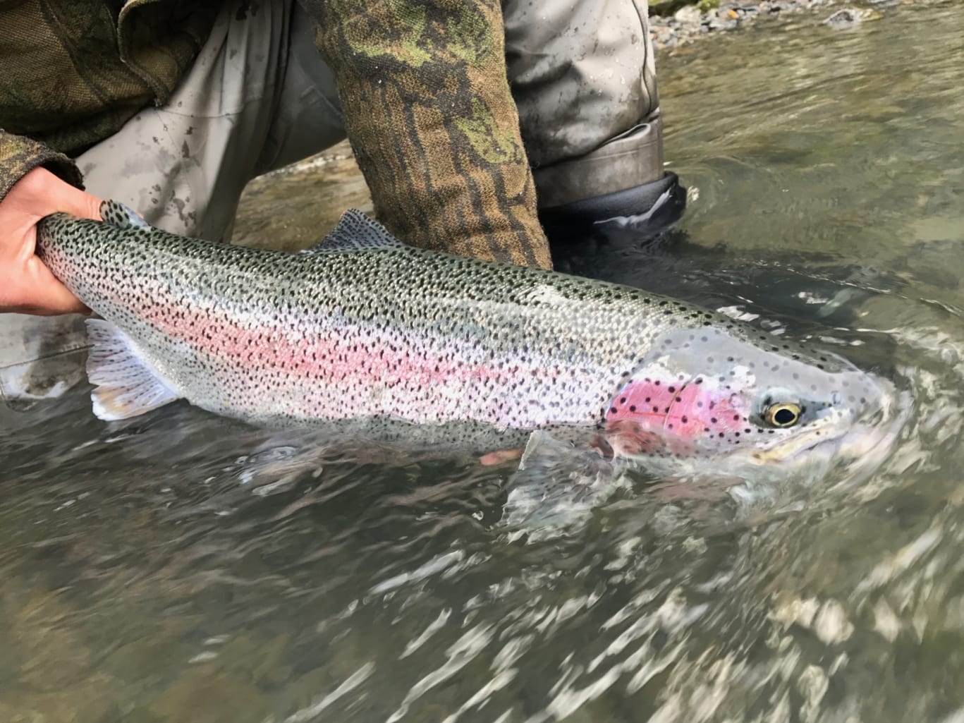 Man holding a fish in the river