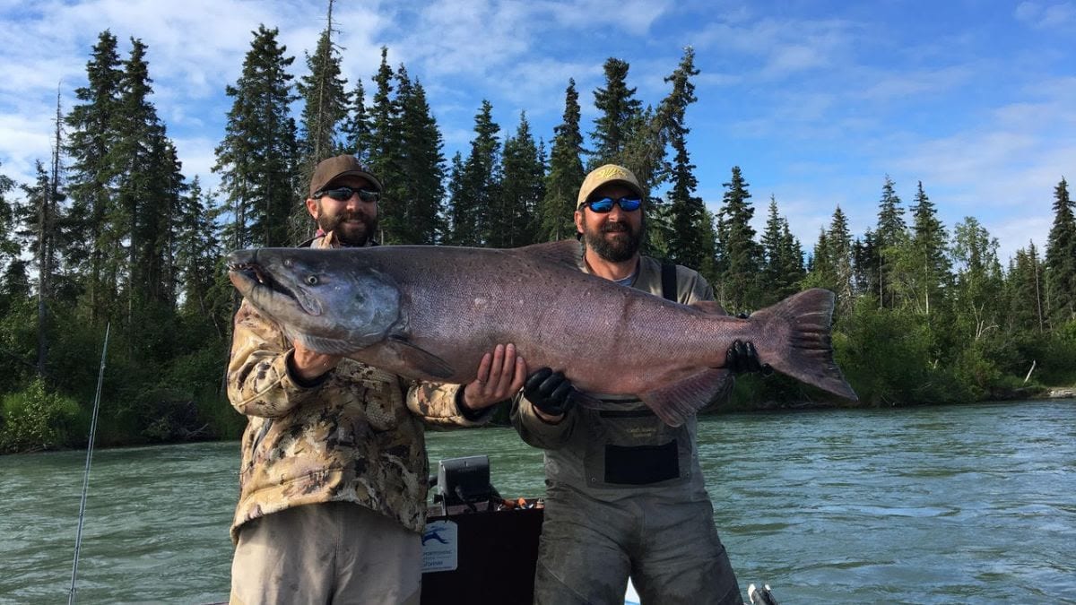 Two men holding a large king salmon