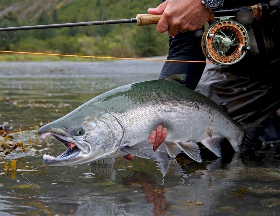 Alaska Fly Fishing