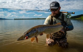 Northern_Pike_in_Alaska