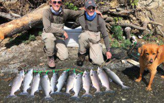 group-angler-posing-sockeye-salmon-fish-dog-bank-2021-2-1 Two anglers kneeling in front of their line of caught sockeye salmon