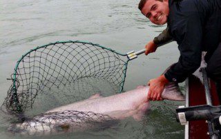 single-angler-posing-net-king-salmon-fish-boat-2021-2-1