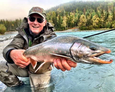 Click this image button to go to the "Dolly Varden / Arctic Char" page
