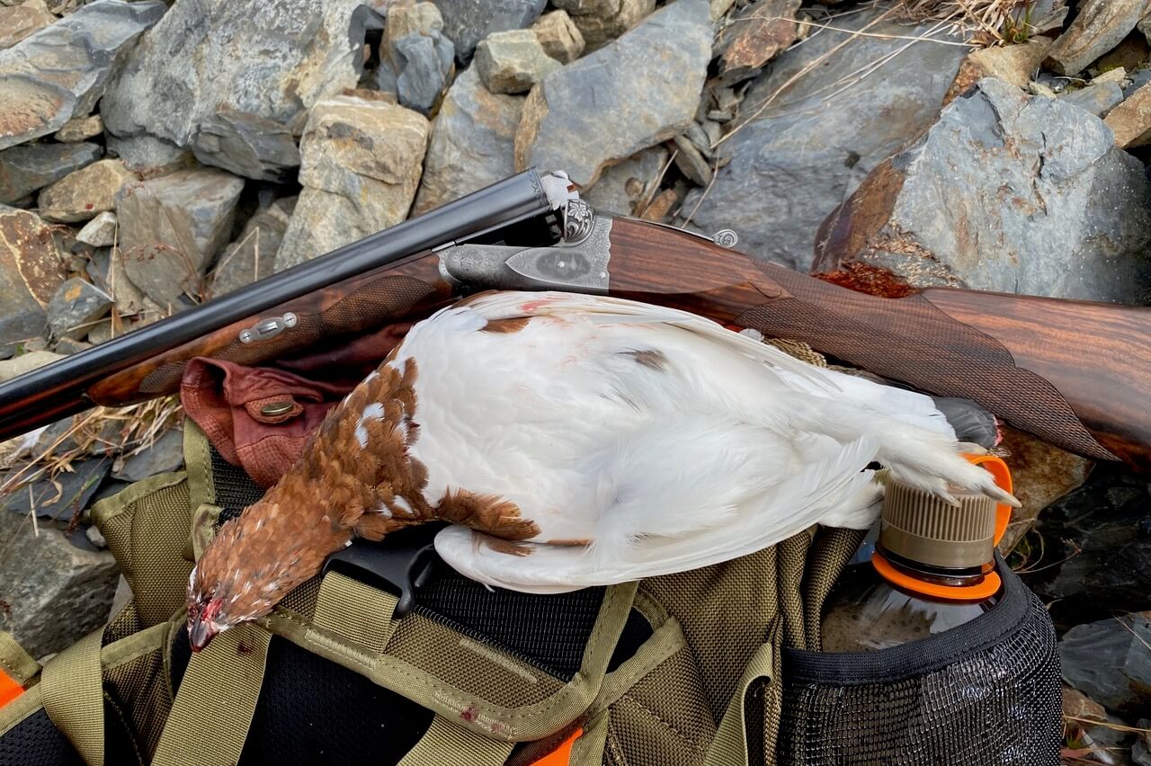 A captured ptarmigan lays on a backpack in front of a rock pile.