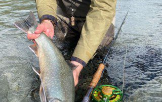single-angler-posing-dolly-varden-fish-wade-2021-11-15