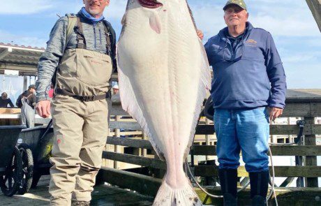 group-angler-posing-halibut-fish-dock-2022-3-17 Anglers standing beside their hanging halibut catch.