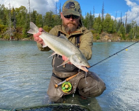 An angler kneeling in the river, showing off the dolly varden he caught.
