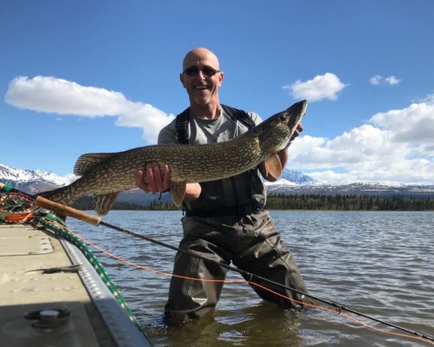 An angler displaying the large pike he caught.