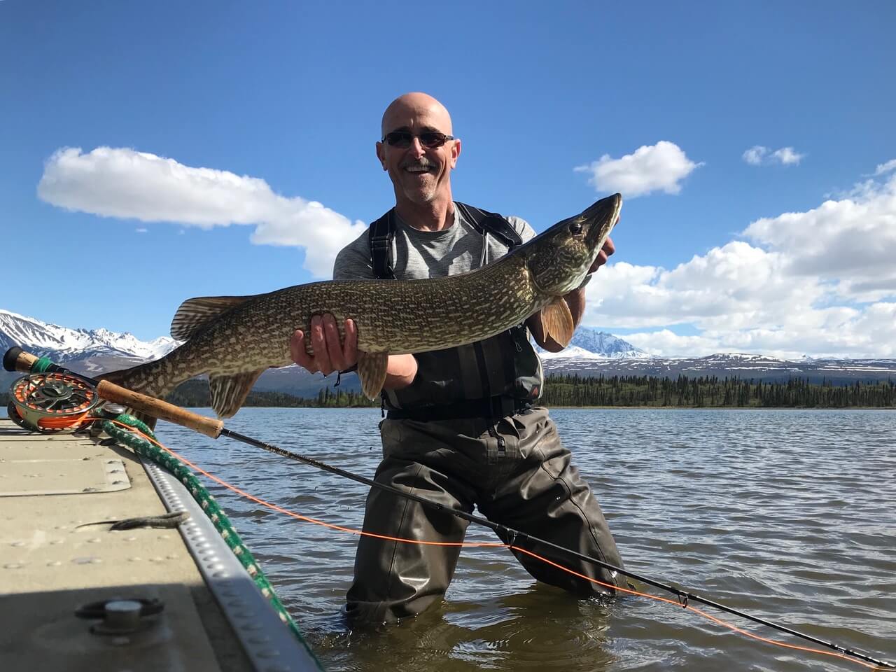 An angler displaying the large pike he caught.