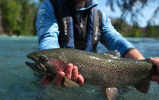 single-angler-posing-rainbow-trout-fish-wade-closeup-2022-3-17 Angler holding a rainbow trout just above the stream.