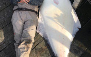 single-angler-posing-laying-halibut-fish-dock-2022-5-13